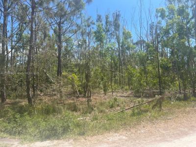 7231 SUNDIET BLVD, BOOKELIA FL,