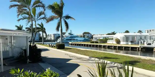 208 Flamingo