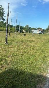 11830 SW 225 ST
