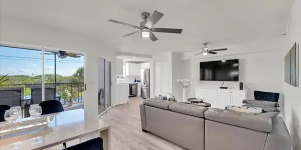 275 Palm