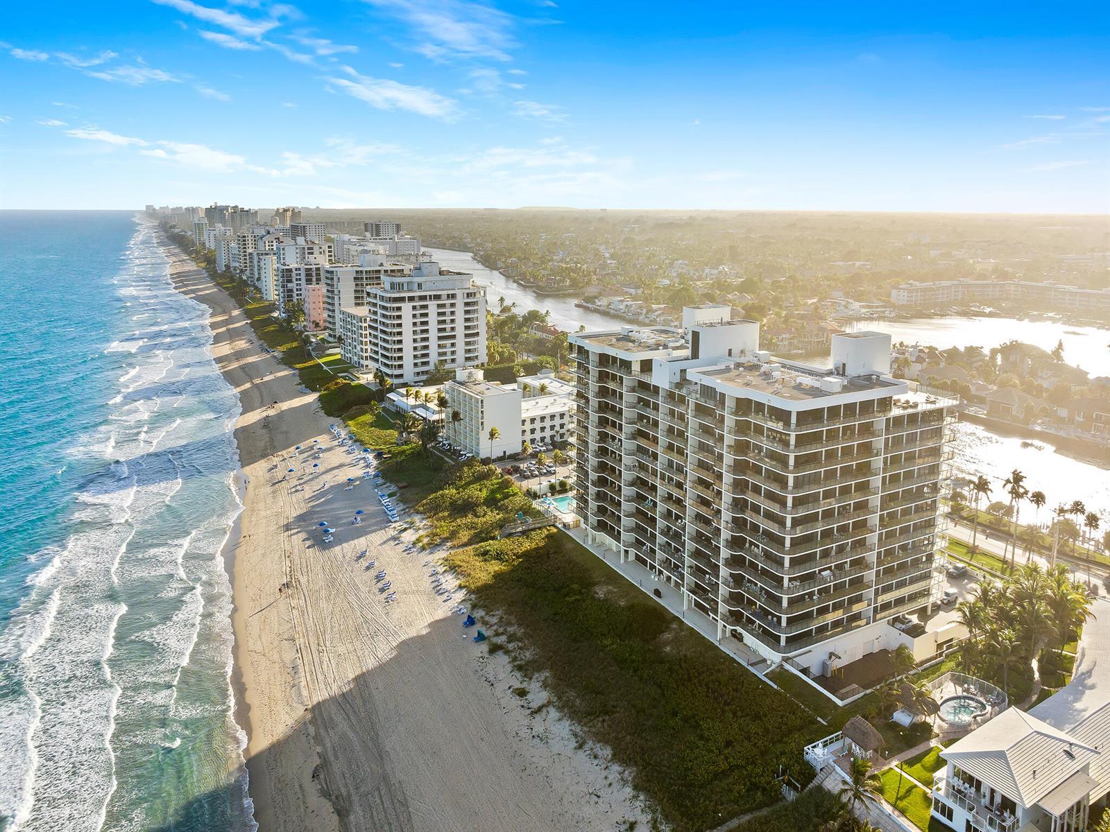 Image 3: DJI_20250213170817_0419_D
