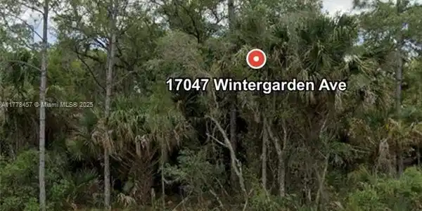 17047 wintergarden