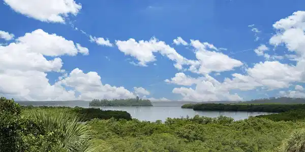 Image 3: View
