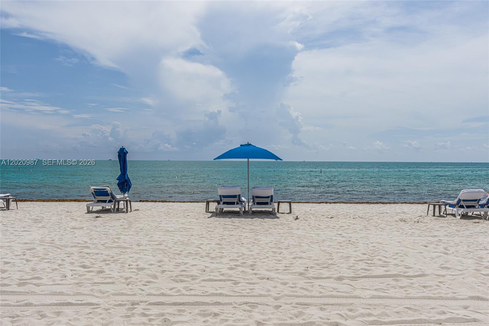 Image 1: The Palace dedicated Beach
