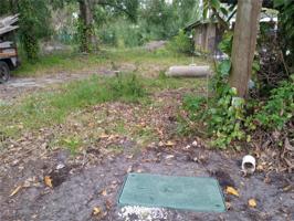 391 Oasis Park RD