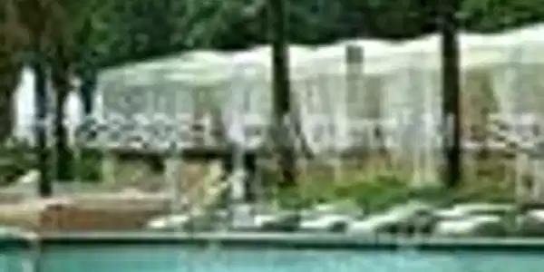 3001 S Ocean Dr 907
