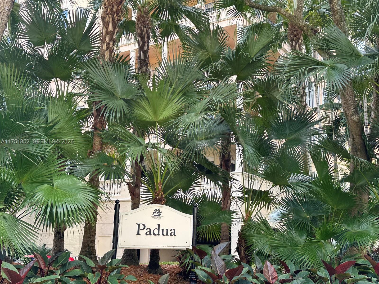 Image 2: Padua