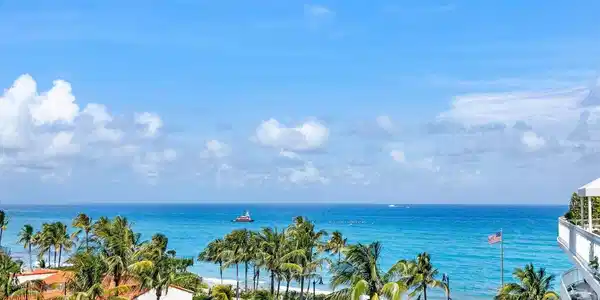 100 Royal Palm
