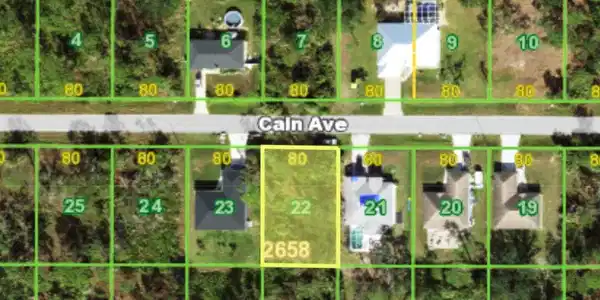 14133 Cain