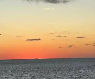 4100 Galt Ocean