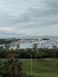 2951 S Bayshore