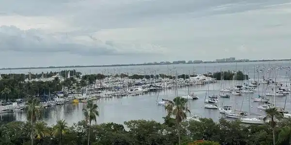 2951 S Bayshore