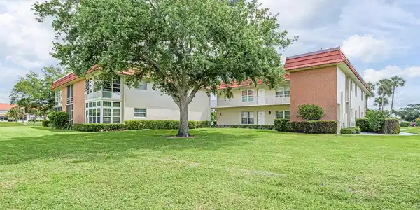 4 Vista Palm
