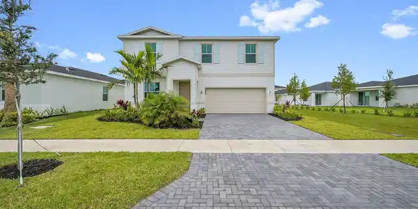 3028 Spanish Cedar