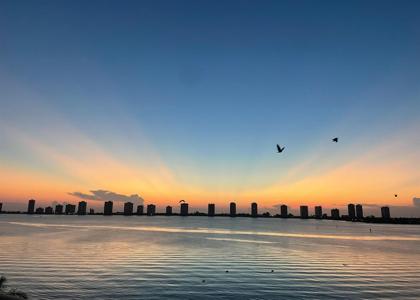 801 Lake Shore
