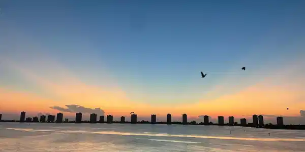 801 Lake Shore