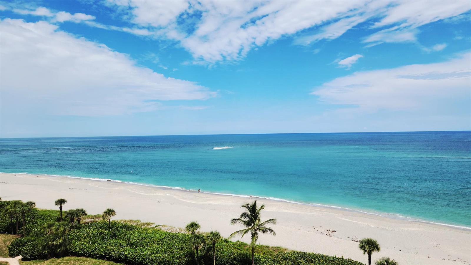 Image 2: Jupiter Beach