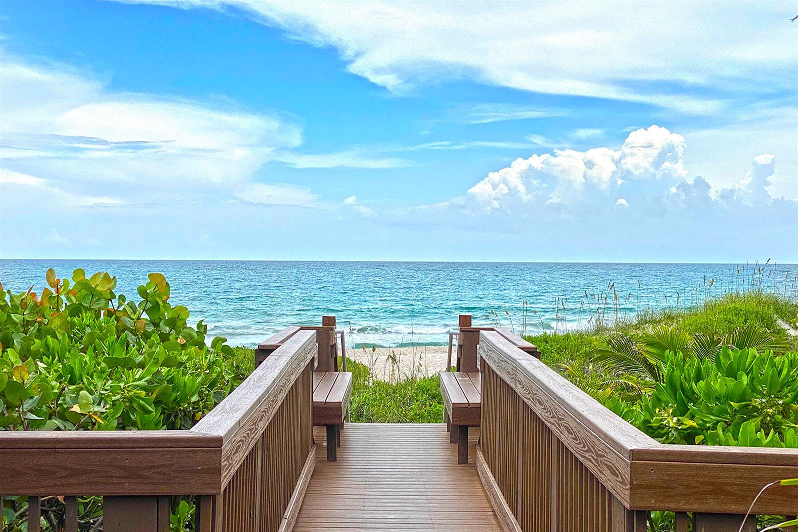Image 4: BeachWalk2