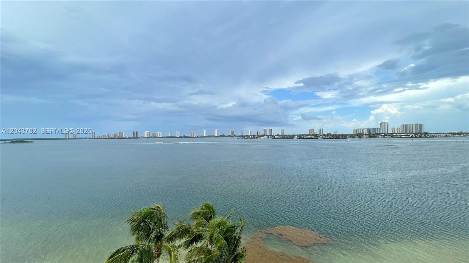 Image 3: Enhanced photo.