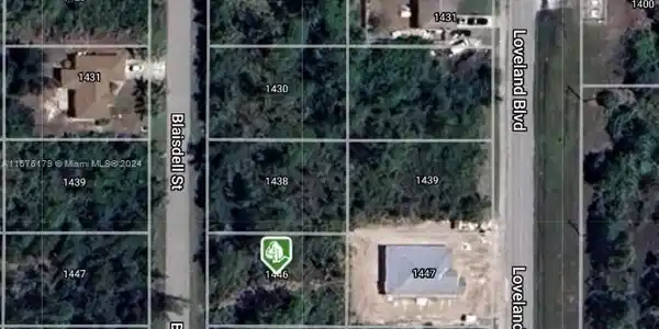 1446 Blaisdell