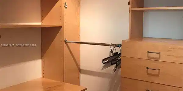 Image 3: Spacious Closet