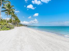 799 Crandon Blvd Unit 902