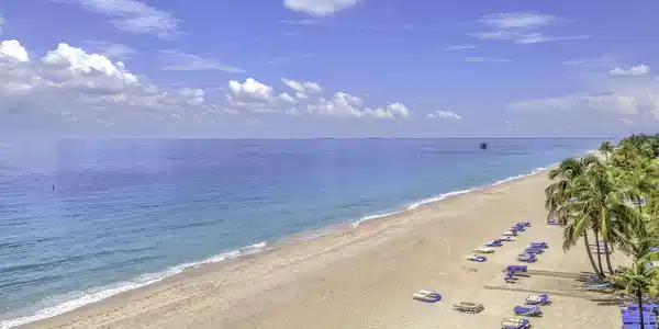 3500 Galt Ocean