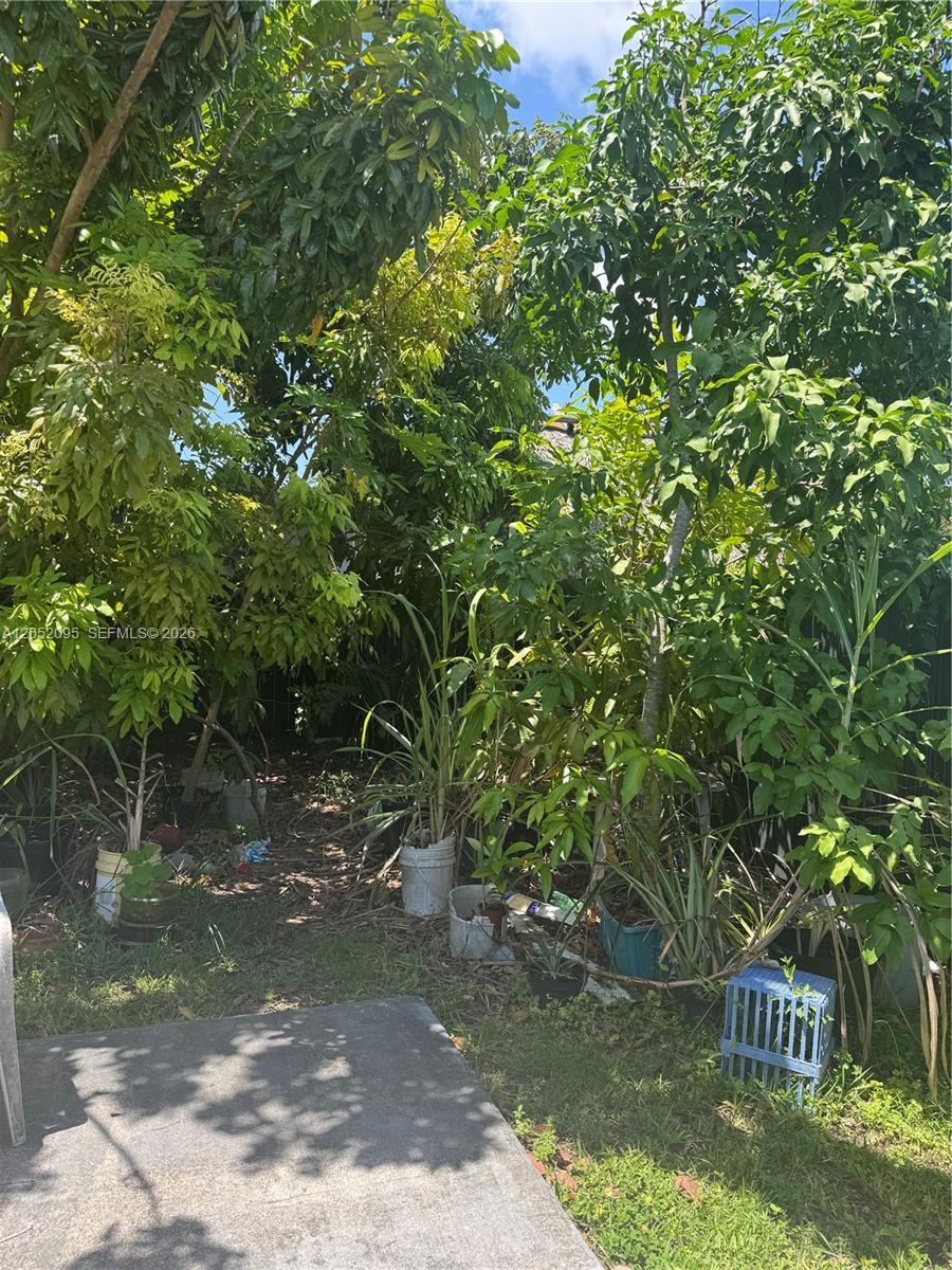 Image 3: Back yard fruit trees