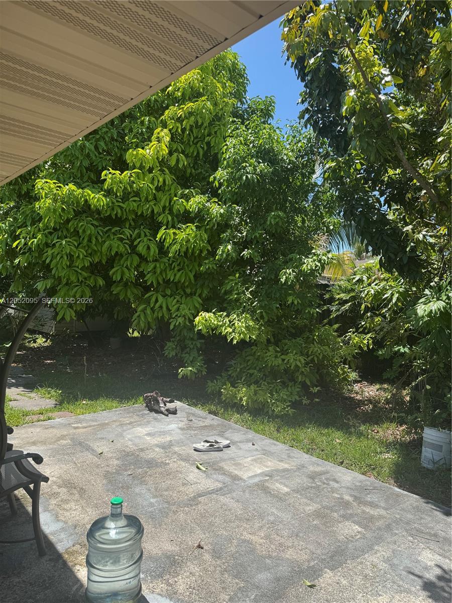Image 4: backyard thru the kitchen