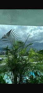 1800 N Bayshore Dr
