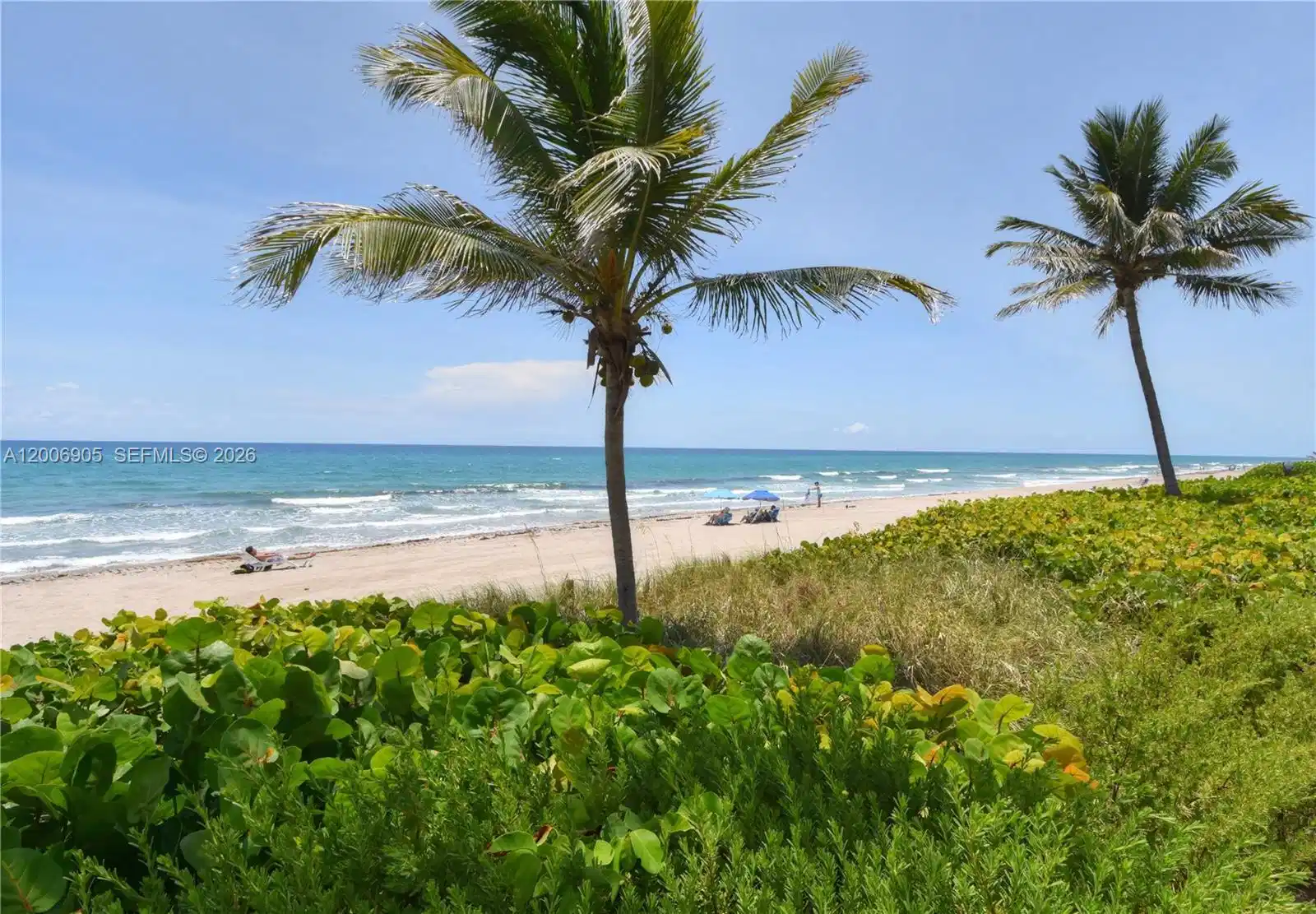 Image 1: Ocean View