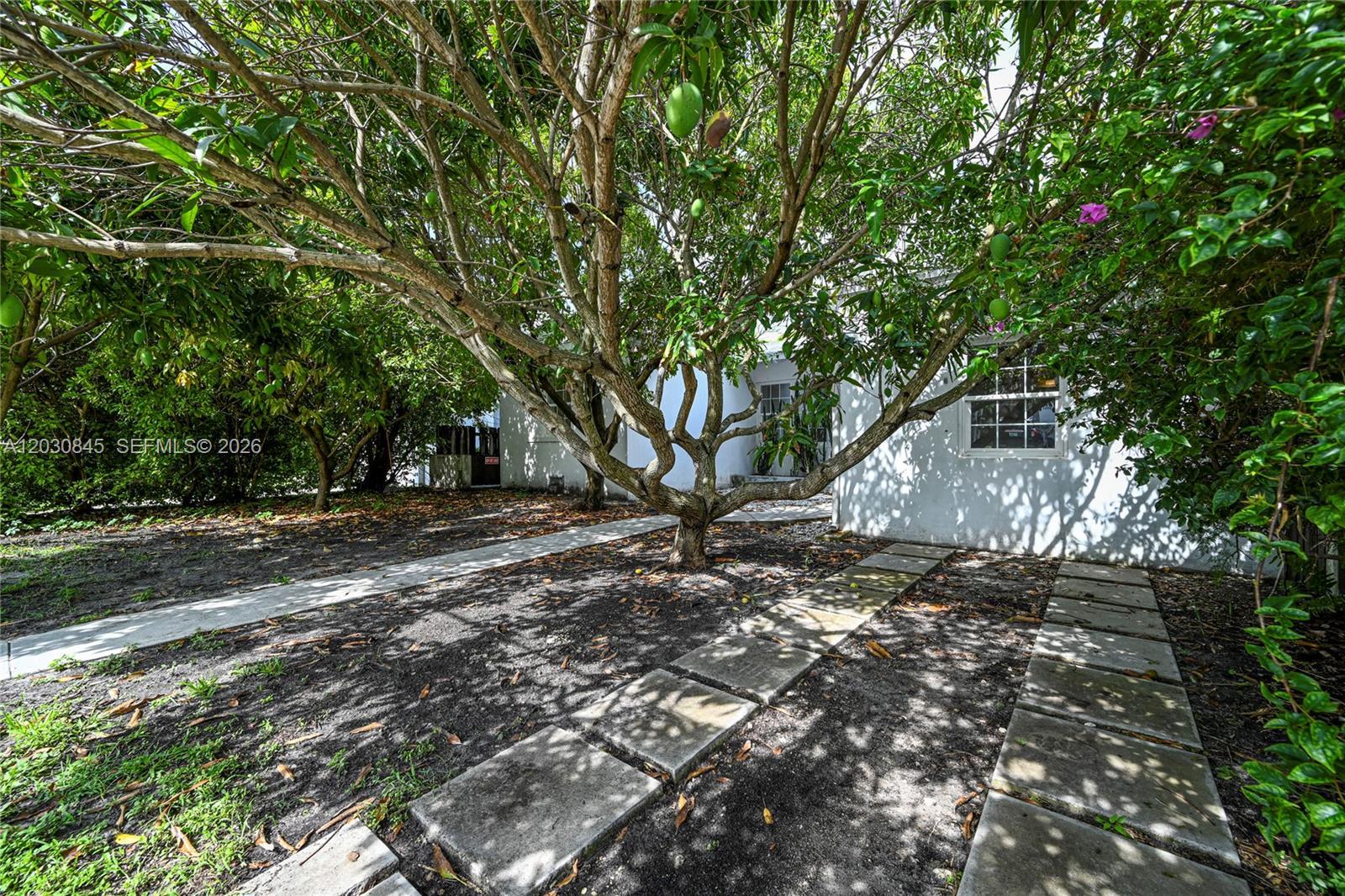 Image 3: House Facade
