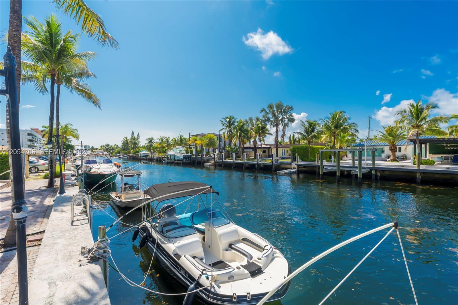 Image 2: Boat Dock