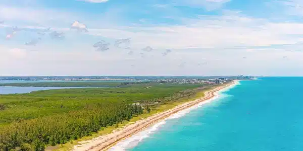 Image 2: DJI_20260609015636_0626_D