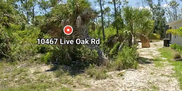 10467 live oak rd