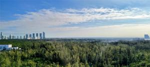 14951 Royal Oaks Ln Unit 1803