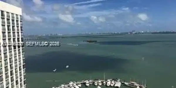 Image 3: View