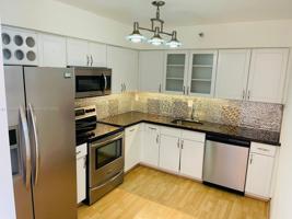 3530 Mystic Pointe Dr Unit 3003