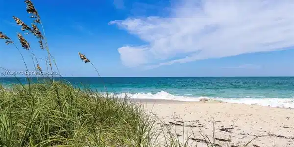 Image 2: Beach