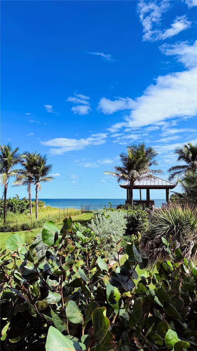 Image 3: Daily paradise