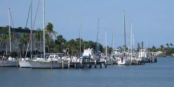 Image 3: Marina