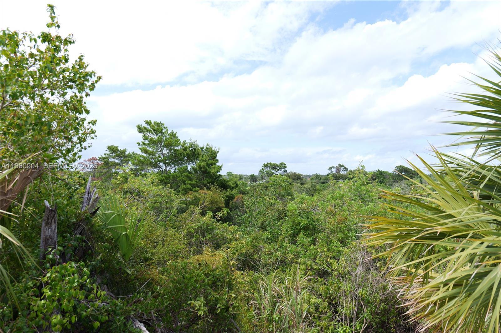 Image 4: View