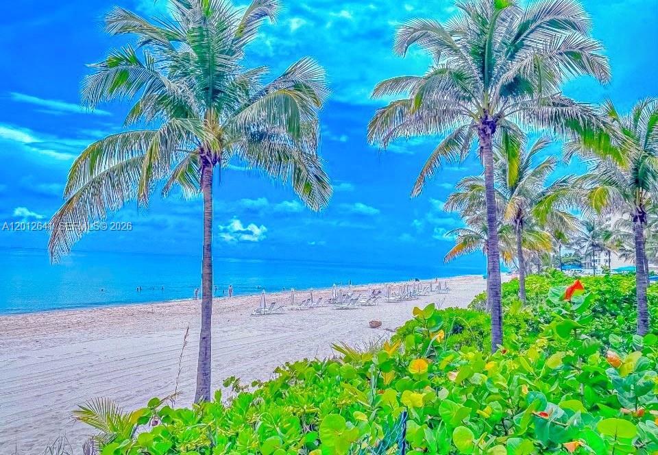 Image 3: PRIME OCEANFRONT COASTAL LOCATION