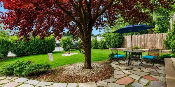 Image 4: PATIO1