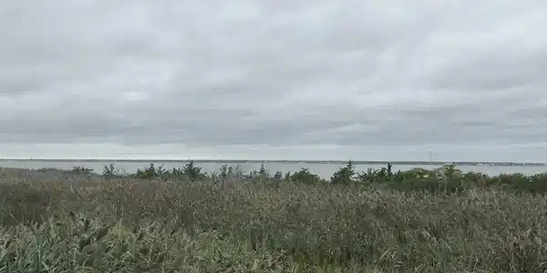 Image 2: 2026-09-02 17.09.01