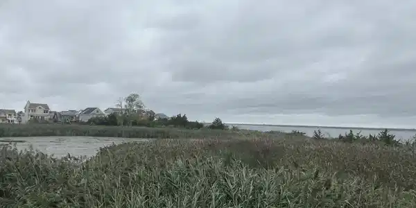 Image 3: 2026-09-02 17.09.03