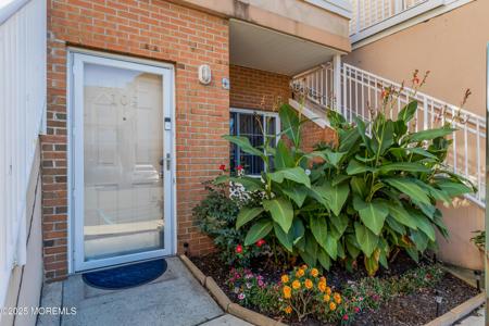 109 Adamecs Way