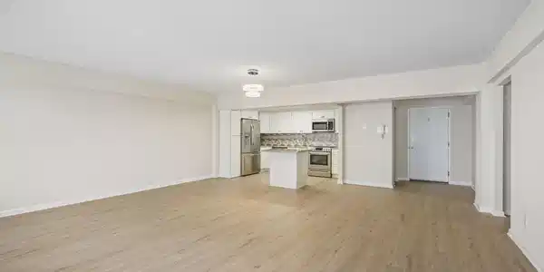Image 3: 6-web-or-mls-DSC07508