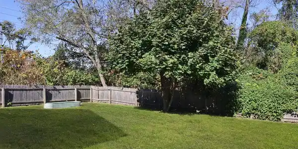 Image 3: backyard