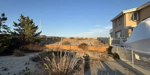 Image 4: IMG_5250